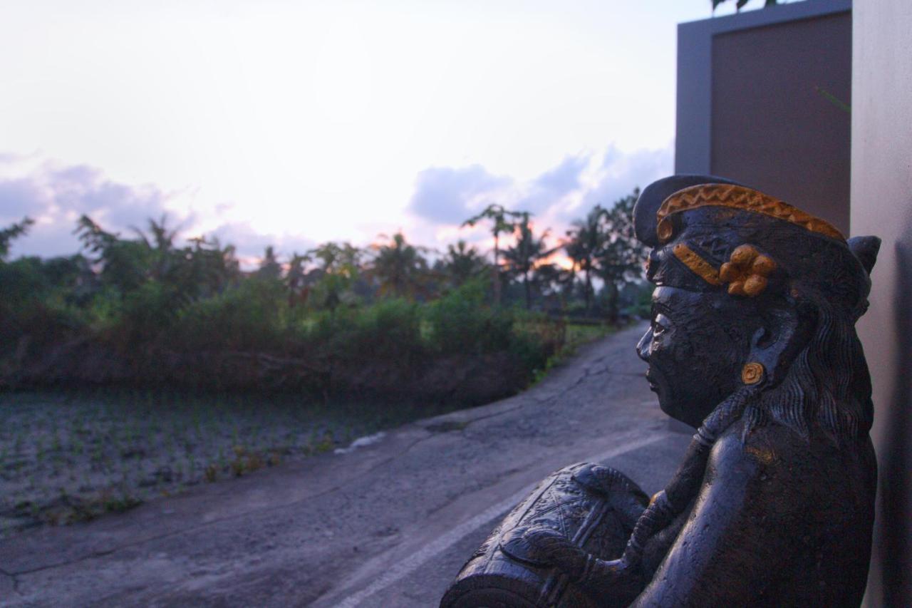 The Shinra Ubud Private Villa Buitenkant foto